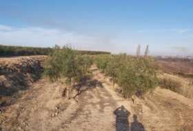 Castelldans 14200&nbsp;m²