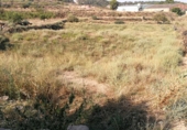 Parcela urbanizable en venta en la España, Castelldans, ref: TR72352 foto
