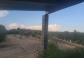 Detached villa with land for sale on España, Maials, ref: TR93861 photo