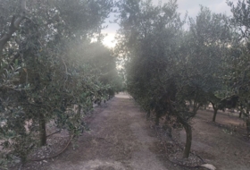Maials 1850&nbsp;m²