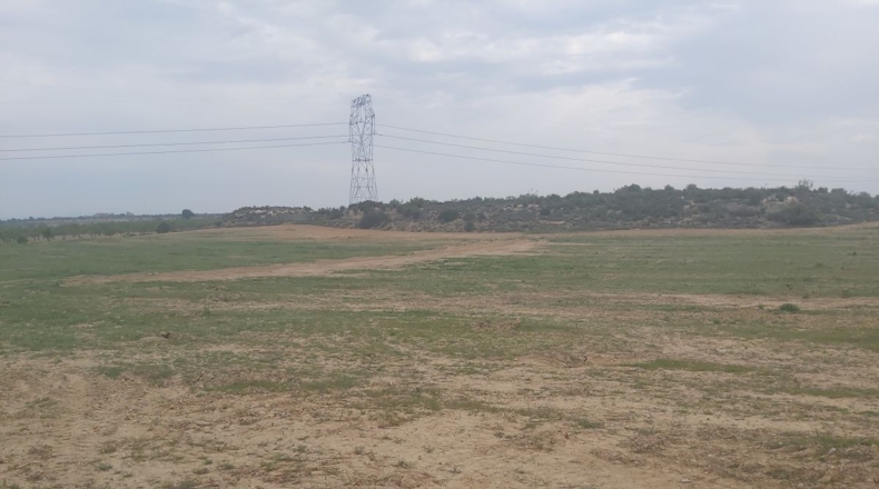 Lérida - Seròs - 33000m2