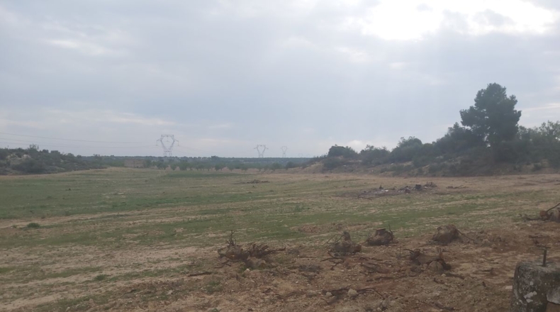Lérida - Seròs - 33000m2
