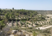 Terreno no urbanizable en venta en Castelldans ref: TR252944 foto