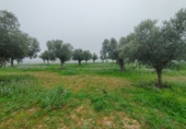 Terreno no urbanizable en venta en Aitona ref: TR274511 foto