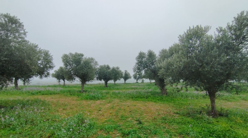 Lerida - Aitona - 4200m2