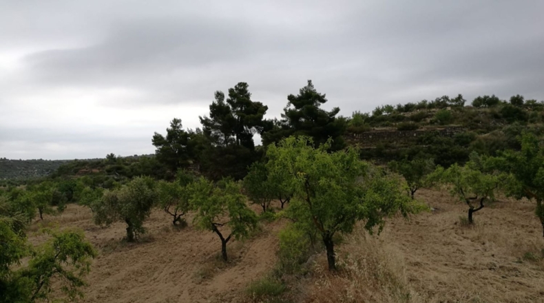 Lérida - Castelldans - 33000m2