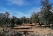 Terreno no urbanizable en venta en la España, Castelldans, ref: TR252946 foto