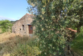 Cervià de les Garrigues 95000&nbsp;m²