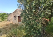 Отдельно стоящий дом с участком на продажу в городе Cervià de les Garrigues. Фото