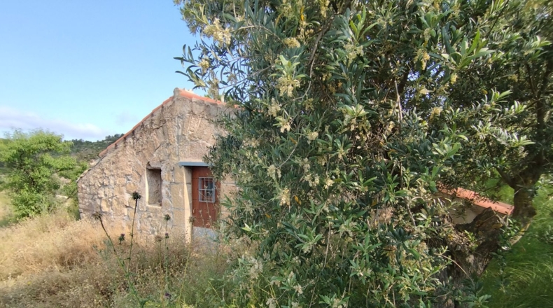 Lerida - Cervià de les Garrigues - 95000m2