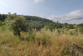 Cervià de les Garrigues 95000&nbsp;m²