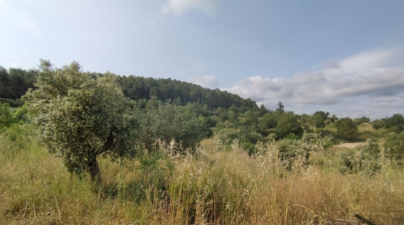 Lerida - Cervià de les Garrigues - 95000m2