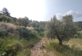 Cervià de les Garrigues 95000&nbsp;m²