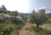 Отдельно стоящий дом с участком на продажу в городе Cervià de les Garrigues. Фото