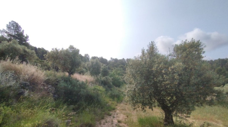Lerida - Cervià de les Garrigues - 95000m2