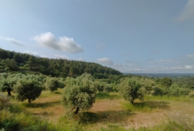 Cervià de les Garrigues 95000&nbsp;m²