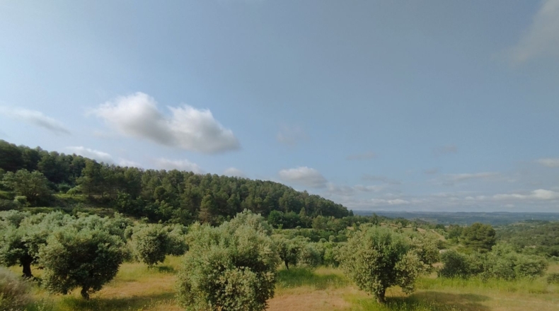 Lerida - Cervià de les Garrigues - 95000m2