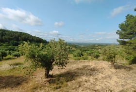 Cervià de les Garrigues 95000&nbsp;m²