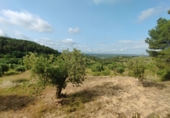 Отдельно стоящий дом с участком на продажу в городе Cervià de les Garrigues. Фото