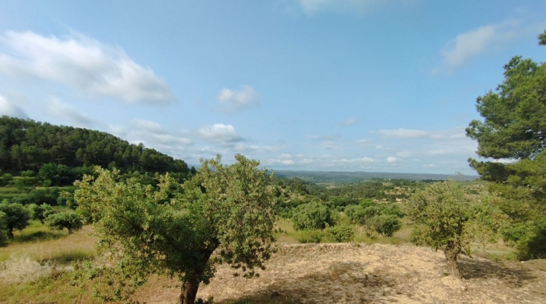 Lerida - Cervià de les Garrigues - 95000m2