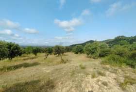 Cervià de les Garrigues 95000&nbsp;m²