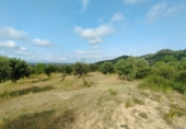 Отдельно стоящий дом с участком на продажу в городе Cervià de les Garrigues. Фото