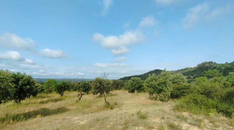 Lerida - Cervià de les Garrigues - 95000m2
