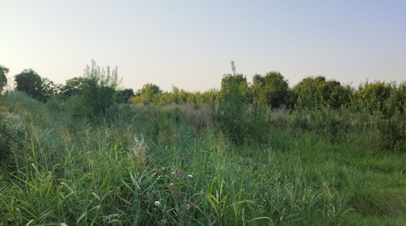 Lérida - Castelldans - 10000m2