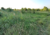 Terreno no urbanizable en venta en la España, Castelldans, ref: TR312409 foto