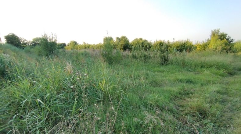 Lérida - Castelldans - 10000m2