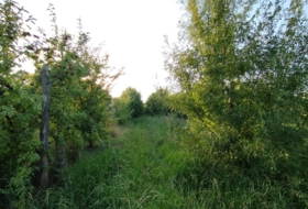Foto 9