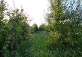 Terreno no urbanizable en venta en la España, Castelldans, ref: TR312409 foto