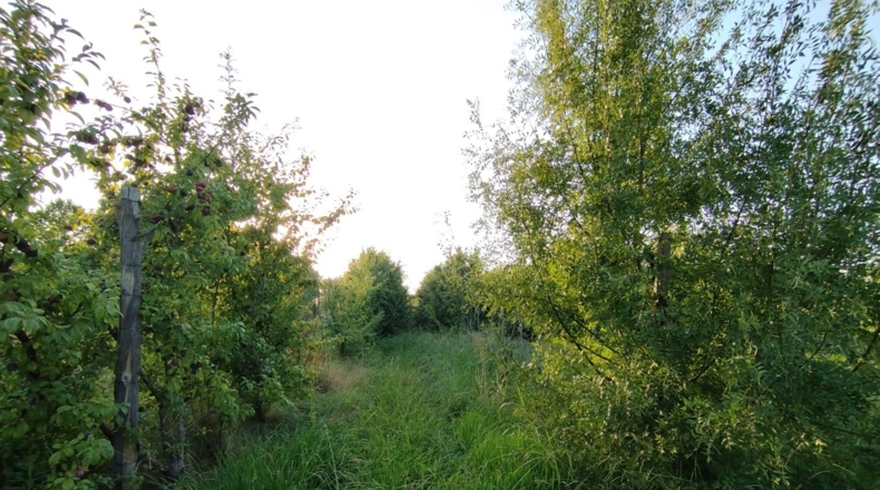 Lérida - Castelldans - 10000m2