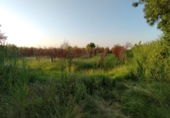 Terreno no urbanizable en venta en la España, Castelldans, ref: TR312409 foto