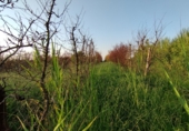 Terreno no urbanizable en venta en la España, Castelldans, ref: TR312409 foto
