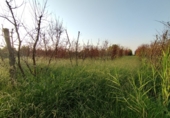 Terreno no urbanizable en venta en la España, Castelldans, ref: TR312409 foto
