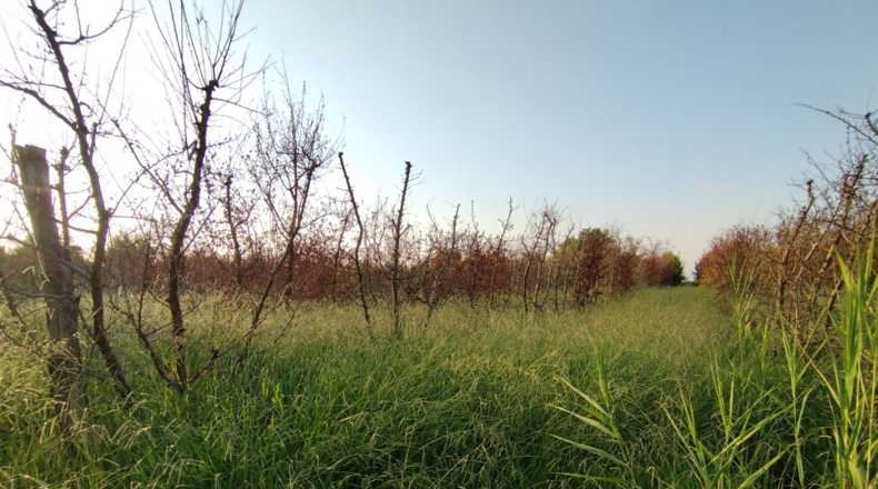 Lérida - Castelldans - 10000m2