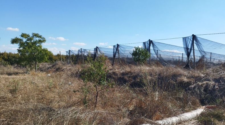 Lérida - Puigverd de Lleida - 8000m2