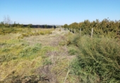 Non-developable land for sale in Puigverd de Lleida ref: TR344849 photo