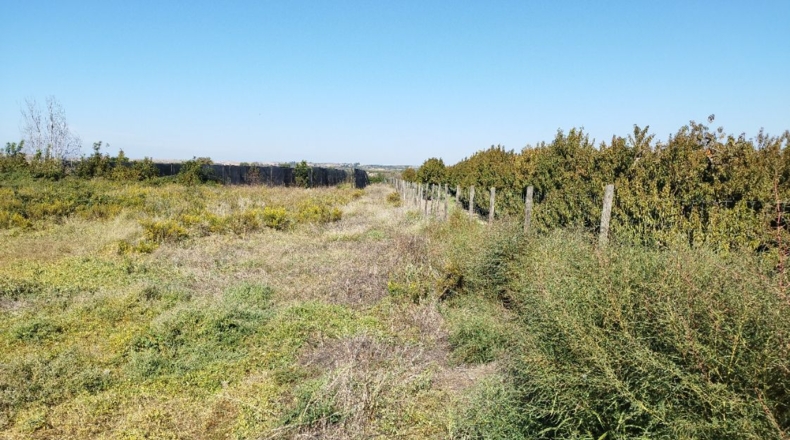 Lérida - Puigverd de Lleida - 8000m2