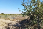 Non-developable land for sale in Puigverd de Lleida ref: TR344849 photo