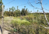 Non-developable land for sale in Puigverd de Lleida ref: TR344849 photo