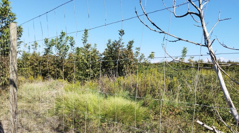 Lérida - Puigverd de Lleida - 8000m2