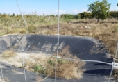 Non-developable land for sale in Puigverd de Lleida ref: TR344849 photo