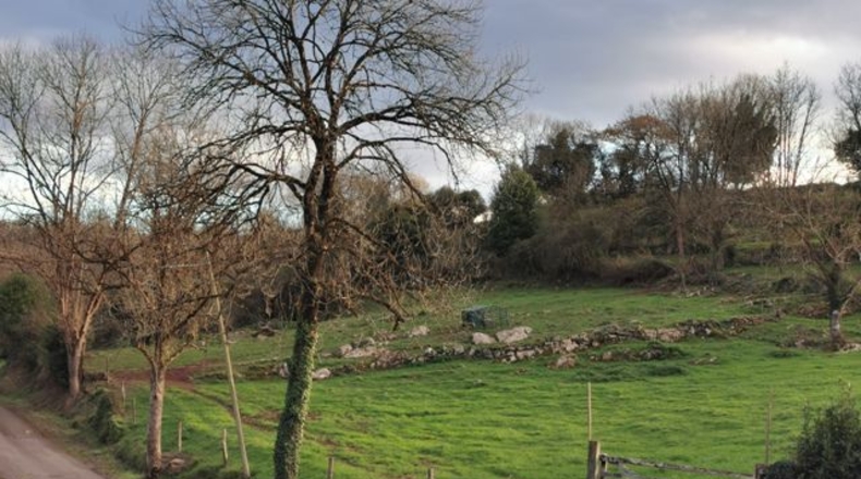 Asturias - Овьедо - 3800m2