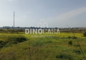 Non-developable land for sale on España, Cartaya, ref: TR351156 photo