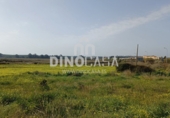 Non-developable land for sale on España, Cartaya, ref: TR351156 photo
