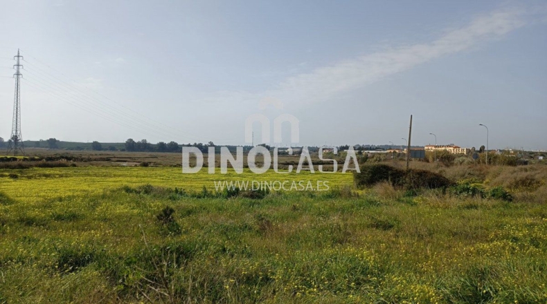 Хуэльва - Cartaya - 10500m2
