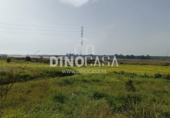 Non-developable land for sale on España, Cartaya, ref: TR351156 photo