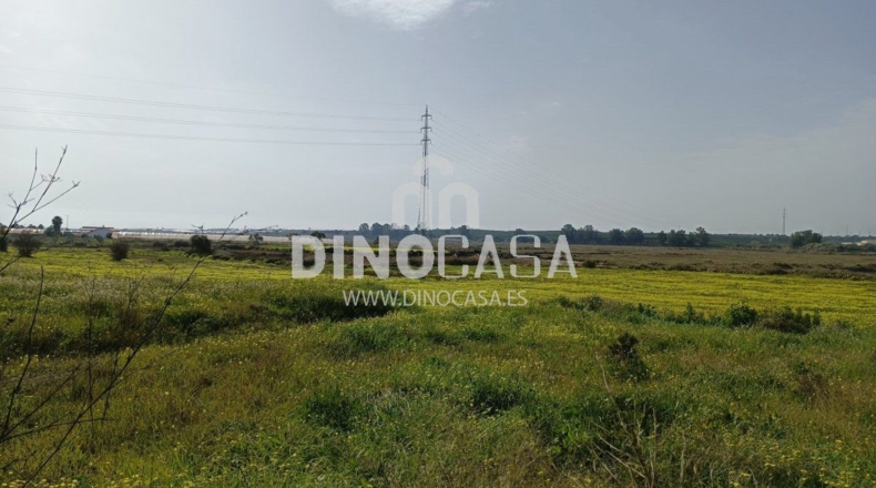 Хуэльва - Cartaya - 10500m2